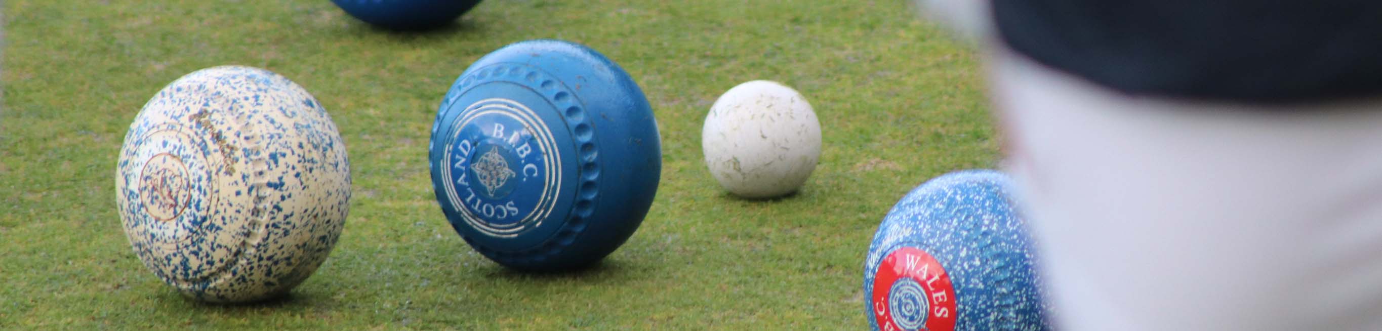 Rules Bowls WBA